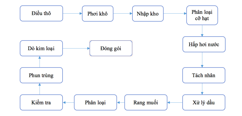 Cung cấp hạt điều xuất khẩu và hạt điều rang muối 111111-1