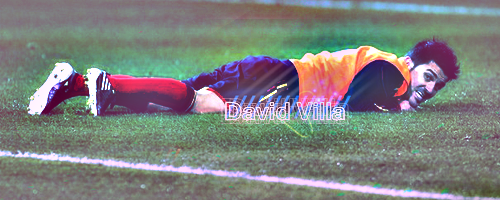 David Villa David_villa_05