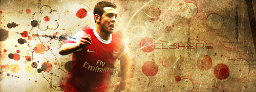 wilshere / murinho Wilshere