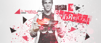 Cesc Fabregas Fabrenike2