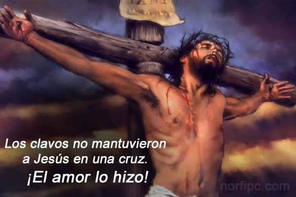 Meditaciones y oraciones para católicos. - Página 6 Clavos-no-mantuvieron-jesus-cruz