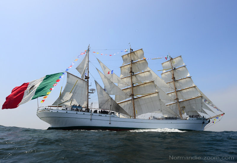 un bateau -ajonc- 14 août trouvé par Martine Le-Cuauhtemoc