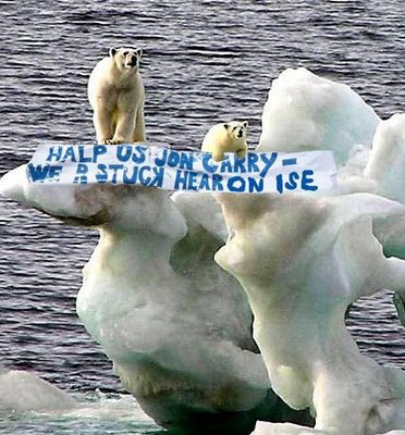 Antarctic volcanoes identified as culprit in glacier melt Global_warming-polar_bears