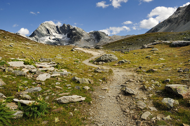 Les Sentiers d'à coté (ou réflexion sur le rapport d'un zèbre au bac). Chemin-menant-vers-le-haut-de-la-montagne