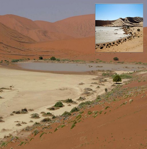 Extraña y abundante lluvia en Namibia Img_4851