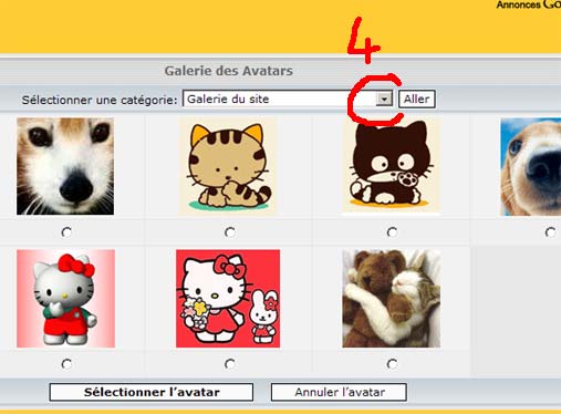 Comment choisir un avatar ? Avat3