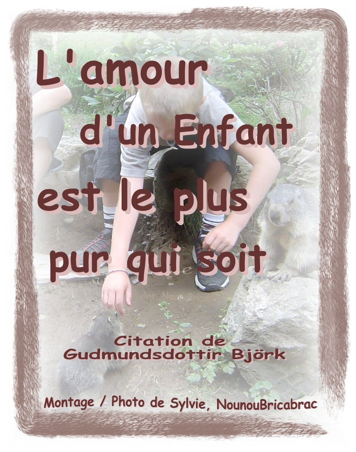 citation du soir lol - Page 19 Nv4g1okr