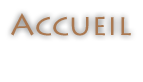 Accueil