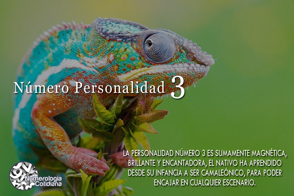 El hilo de las mil imágenes PERSONALIDAD3