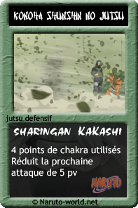 mes technique Konoha_shunshin_no_jutsu