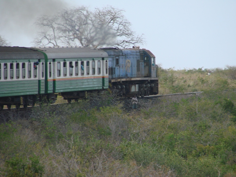 [Kenya] Voyage Nairobi -> Mombasa par le Lunatic Express 22