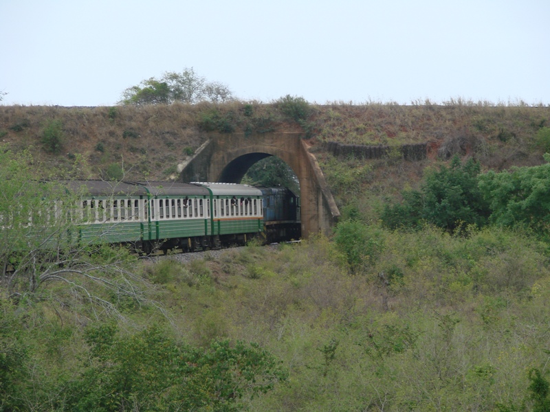 [Kenya] Voyage Nairobi -> Mombasa par le Lunatic Express 63