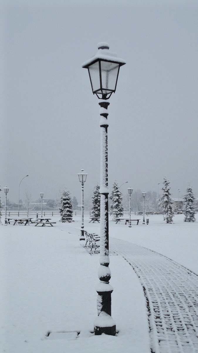 Foto della nevicata del 10/3/2010 nell'ovest milanese DSC00046