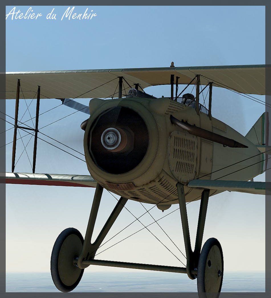 Spad VII Italiens (WIP) 2013_8_4__18_12_8