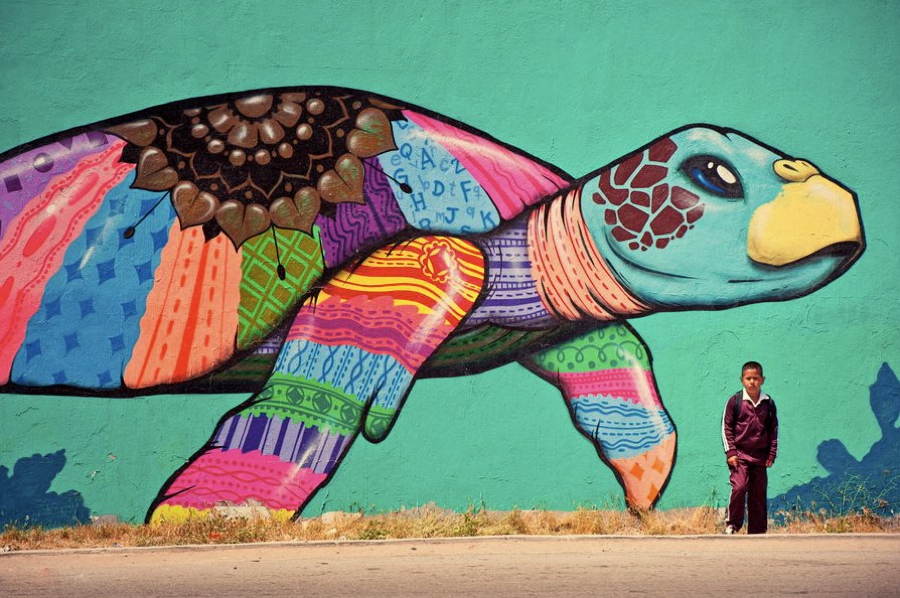 Arte callejero Street-art-2013-turtle-tijuana