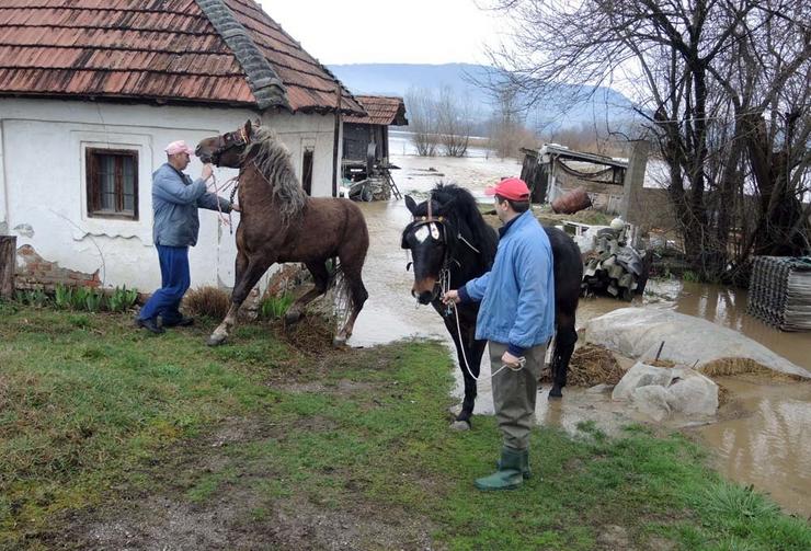 Kiša pada , Srbija ..... Dbc22365ed2705ae7294bdb2cd9f62ce