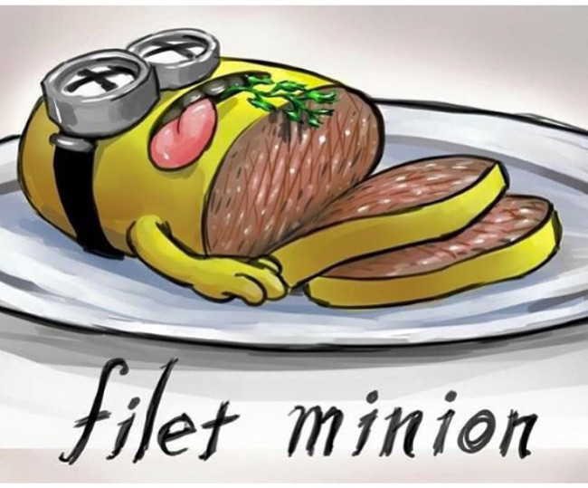 Jeu Alacon - Page 4 Filet-Minion