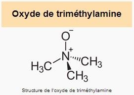 Végétarisme(explications,textes....) A7d08ace