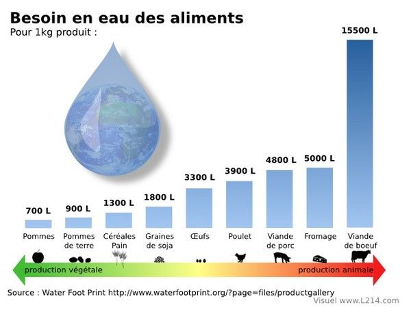 Végétarisme(explications,textes....) E6e5b78b