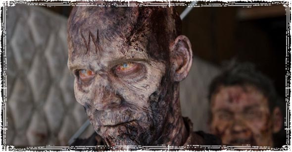 Three Things Survivalists Can Learn From The Walking Dead Thewolveszombie