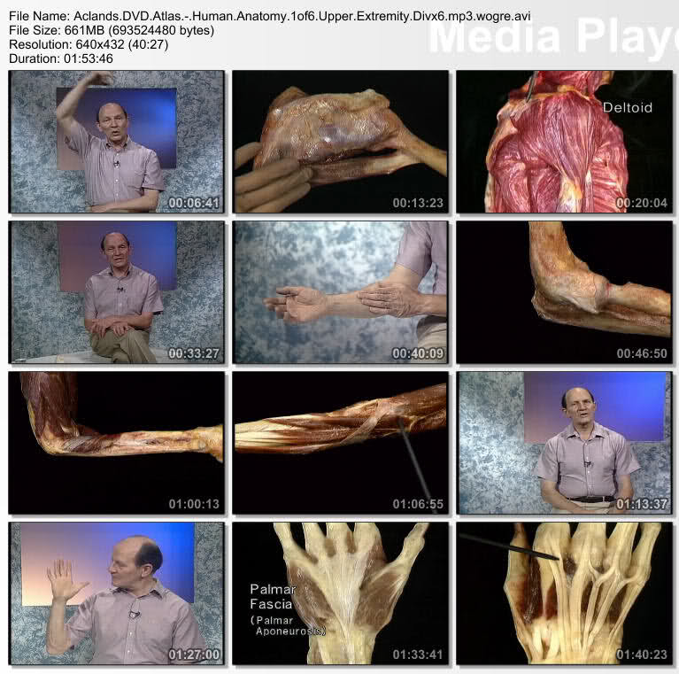 Acland's Anatomy بروابط مباشرة وسريعة وجودة ( دي في دي ) جميلة جدا . 15x48dv