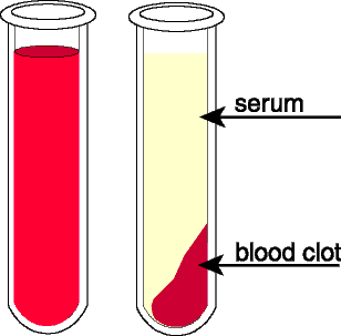 العمل في المخابر 2:سحب عينات الدم و التعامل معها R8unf5