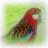 Rosella