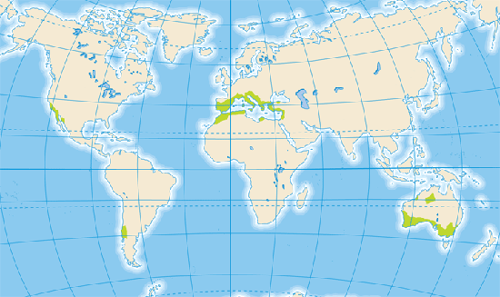 Localizacin de los bosques mediterrneos On22w