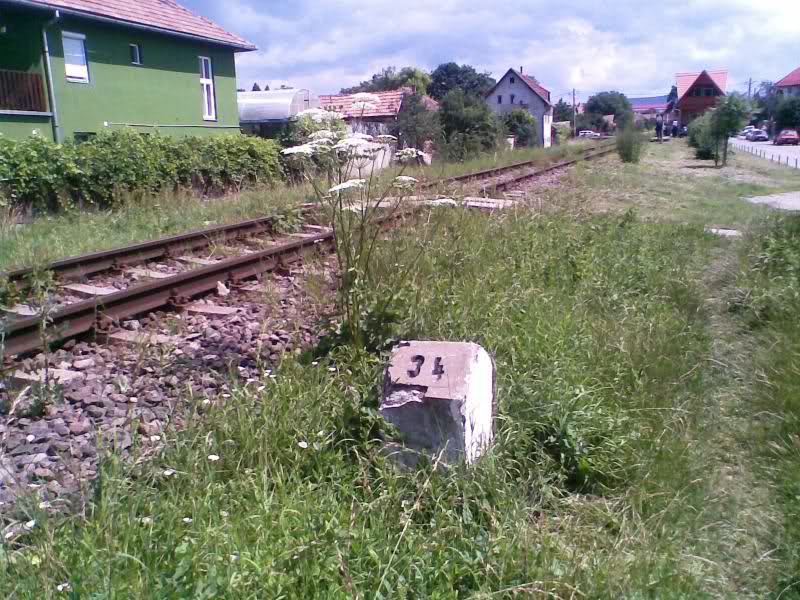 308 : Sighisoara - Odorhei - Pagina 2 95sizb