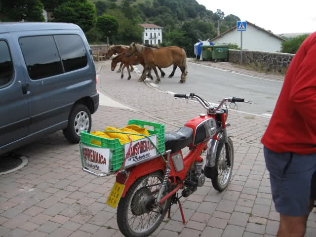 Transpirenaica en Mobylette 2010 total 1123km  - Página 3 21ezxab