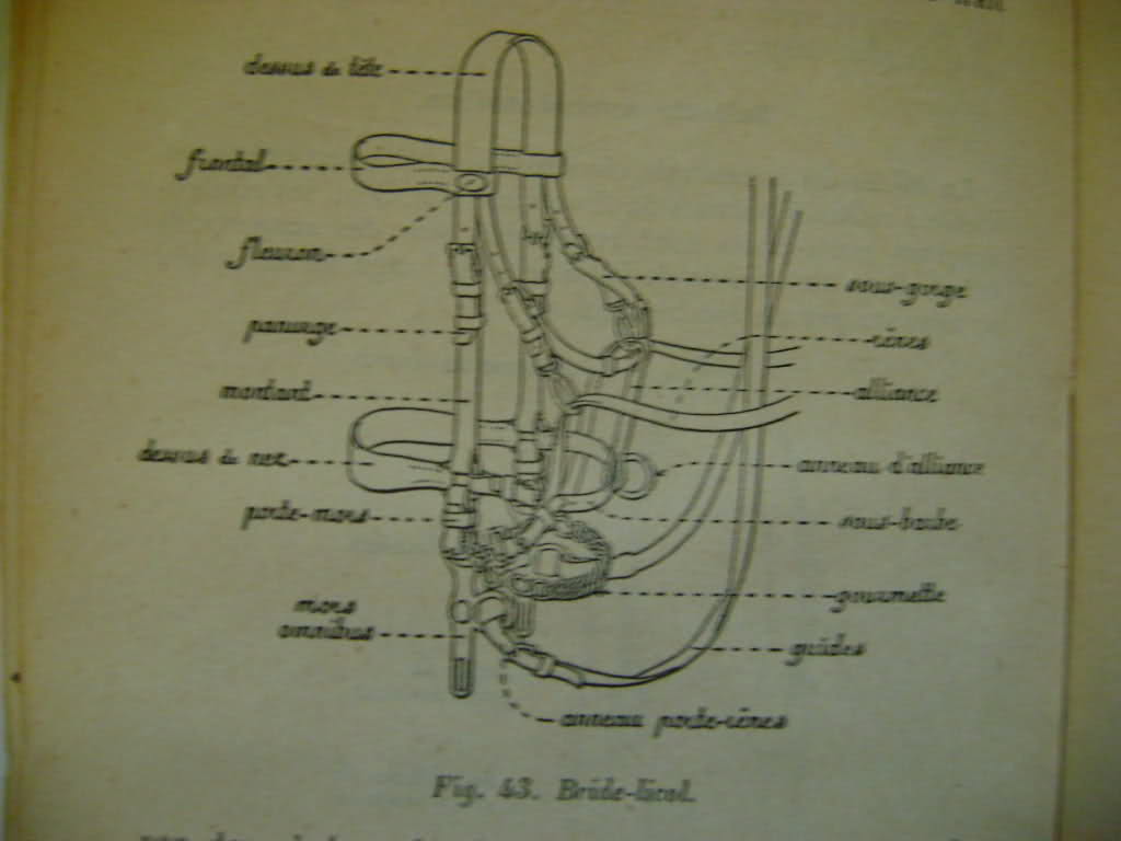 Véhicules hippomobiles et harnachements. 25ku6gj