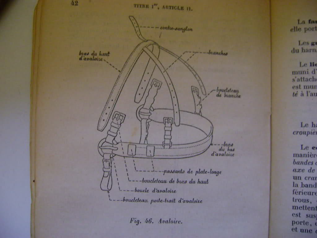 Véhicules hippomobiles et harnachements. 349f62x