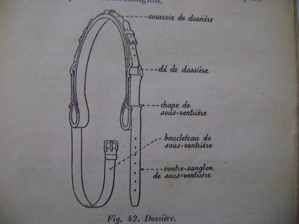 Véhicules hippomobiles et harnachements. 35a9gfo