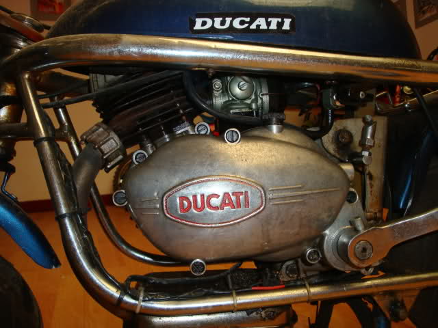 ducati - La MiniMarcellino X5nuvq