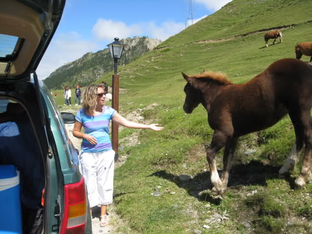 Transpirenaica en Mobylette 2010 total 1123km  - Página 3 Xnggh0