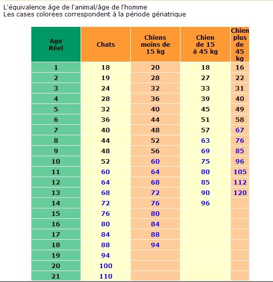 quel age a votre chat ou chien 167uiht