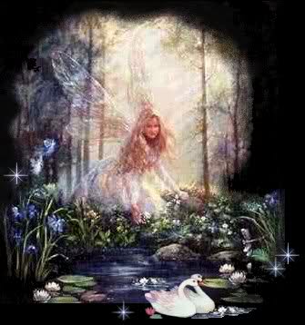 Fairy land 23rr0bn