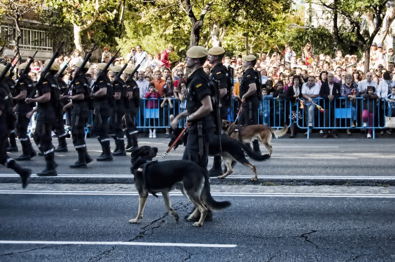 ===12 de Octubre dia de la Hispanidad=== 2f060rs