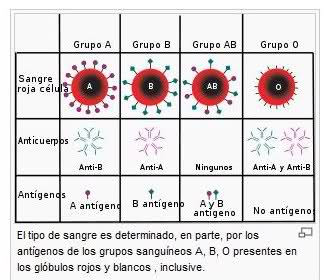 Los Riesgos de la Incompatibilidad del Factor RH en el Embarazo 2rn8t9t