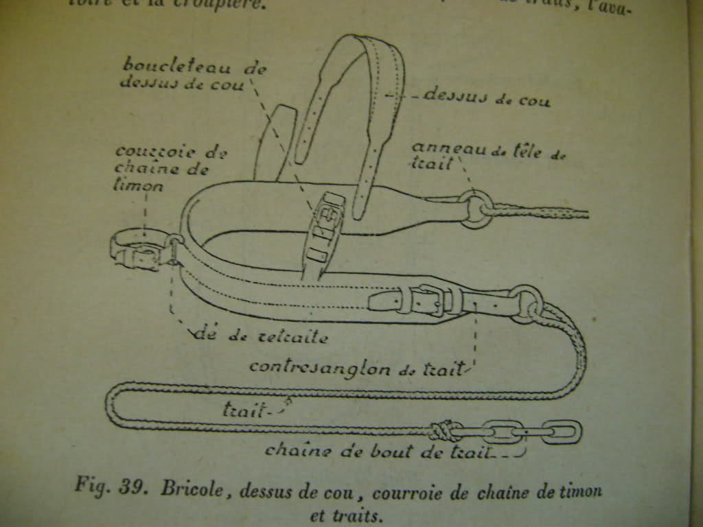 Véhicules hippomobiles et harnachements. 35mjnv7