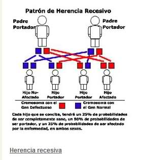 mutación C677T de la MTHFR  hetero(I y II PARTE)   Fjn8fo