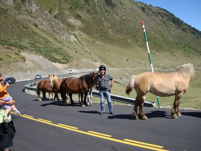 Transpirenaica en Mobylette 2010 total 1123km  - Página 4 Wqoww7