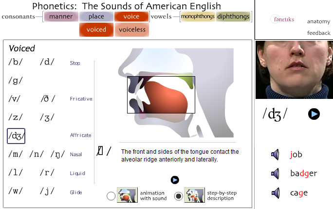 افضل كورس لتعلم النطق الصحيح اللغة الانجليزية الفونتيكس 2im6zy0