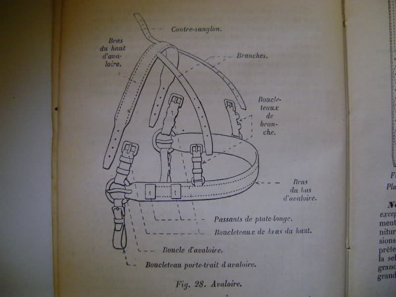 Véhicules hippomobiles et harnachements. 2vxk5eb