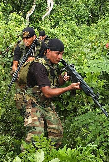 Fuerzas Armadas del Peru 2q8r811