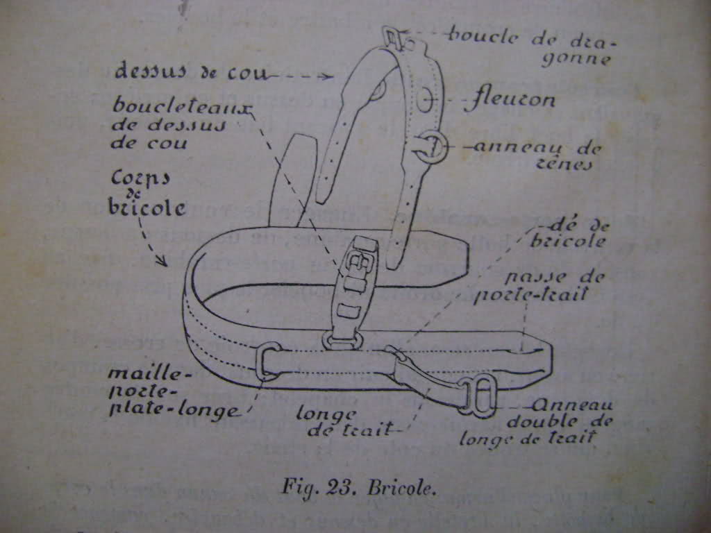 Véhicules hippomobiles et harnachements. 2rr3oki