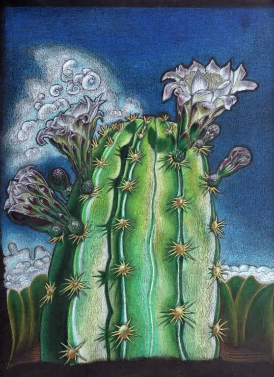 Cactus (radioactif) R93nsj