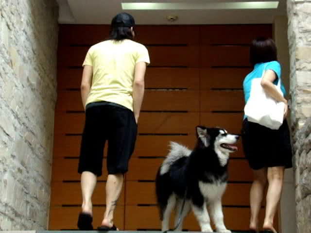 Yoochun's dog , harang <3 11uyg46