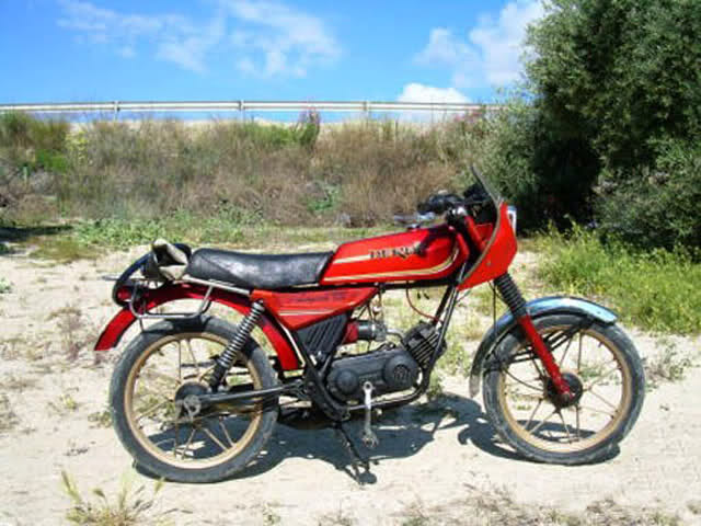 Derbi Laguna TS 2cygswx