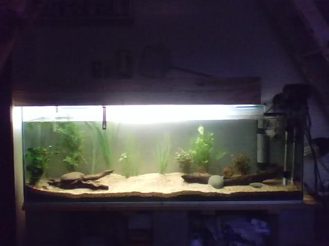 Acuario, mueble y tapa 4twwfb